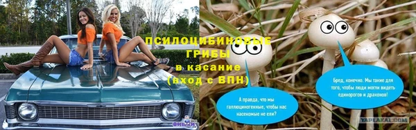 крисы Горно-Алтайск