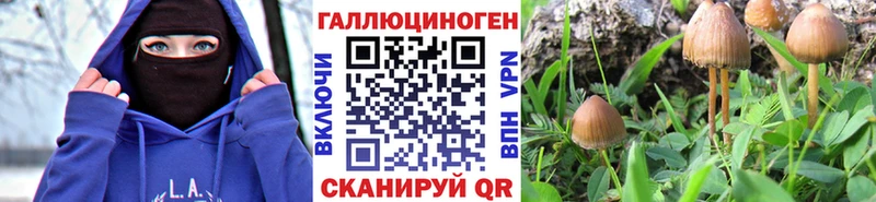 Псилоцибиновые грибы MAGIC MUSHROOMS  Волгодонск 